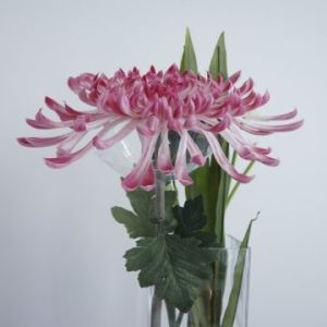 Real Touch PU Chrysanthemum, New Design