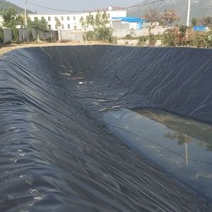HDPE Geomembrane Pond liner for Landfill Aquaculture Mines Artificial Lake