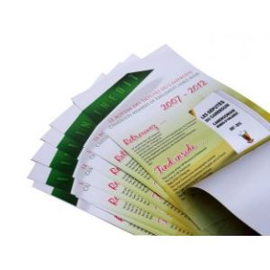OEM / ODM Low Cost Business Paper Leaflet full Colour Flyer Printing services