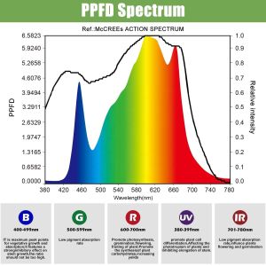 Indoor 600 Watt Full Spectrum Quantum Board Board LED Bloom Grow Lights 110V