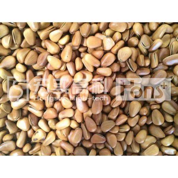 Sorting Machine CCD Camera 4Chutes 252Channels Color Sorter For Rice/Beans