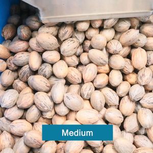 2 Tons Capacity 380V 8 Channels Pecan Sorting Machine With CE Certification