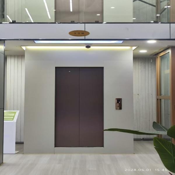 Quality Panoramic Pitless Home Elevator | Lightweight Aluminium Frame for sale