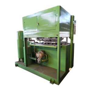 Waste Paper Automatic Egg Tray Machine Compact Structure