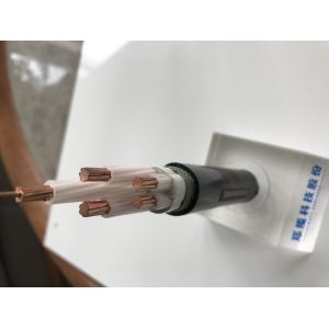 Wholesale （2*1.5~2*240mm²）Unarmoured 0.6/1KV 2C Low Voltage Power Cable With PVC Insulated CU Conductor （CU/PVC/NYY/N2XY) from china suppliers