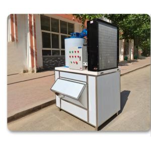 1000kg Commercial Square Ice Machine Personalized Transparent White Ice Cube