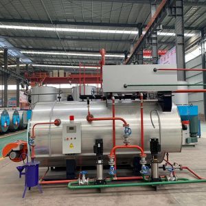 China 350KW 700KW 1400KW 2100 KW CWNS Gas Oil Fired Hot Water Boiler Price for swimming pool on sale