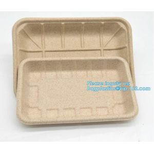 Biodegradable & Compostable 8 inchSquare sugarcane trays,sugarcane pulp