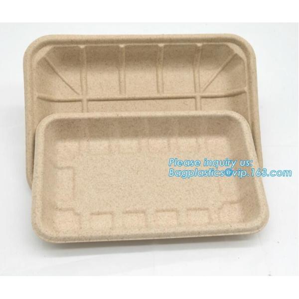 Biodegradable & Compostable 8 inchSquare sugarcane trays,sugarcane pulp