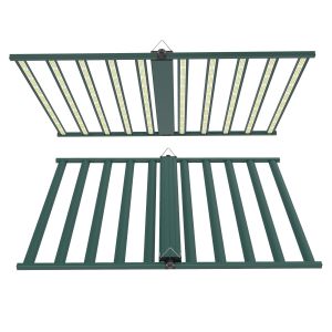 Wholesale 0-10V LED Dimming Driver Hydroponic Plant-Growing Lighting System For Indoor Farming from china suppliers