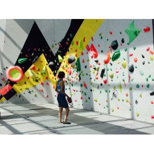 1740g Screw on Set Amusement Park Climbing Wall Kids Rock Climbing Holds for