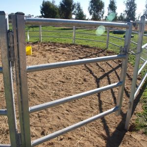 China Horse 2.1m X 1.8m Livestock Fence Panels Hot Dip Galvanized Pipe on sale
