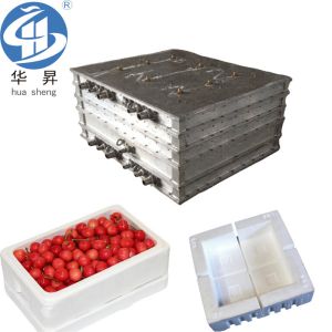 Fixed Installation Aluminum EPS Foam Box Molds for Secure and Insulated