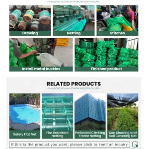 Playground HDPE Plastic Scaffold Safety Net Construction Safety Net