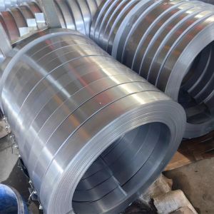 304 Hot Custom Cold Rolled Stainless Steel Coil and Strips