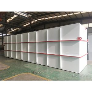 Capacity 750L/Hour MBR Effluent Treatment Plant for 4-300 M3/h Capacity and