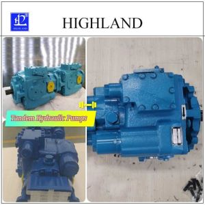 China Durable Tandem Piston Pump for Industrial Applications on sale