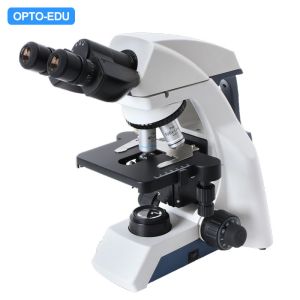 Wholesale A12.1037 OPTO EDU Semi Plan Microscope Lab Quintuple Infinity from china suppliers
