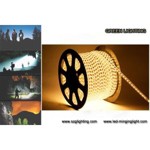 SMD5050 7.2W / M 0.6A Colorful Safety LED Flexible Strip Light IP67 Waterproof