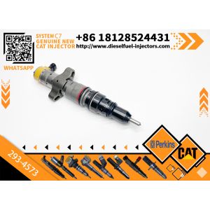 Auto Parts Fuel Injection System For C9 Engine Caterpillar 293-4573 293-4574 328