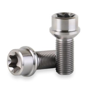 Titanium Wheel Lug Bolts M24x1.25 Titanium Bolts Cold Heading