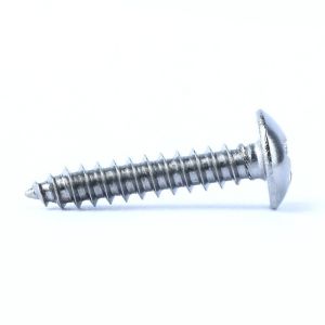M2 M3 M4 Galvanizado Zinc Clear Drywall Tapping Screw
