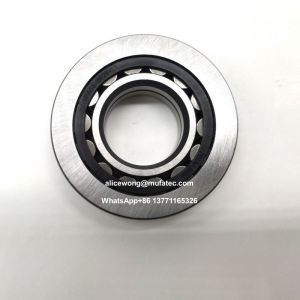 F-604757.04.NU-BNS-HLC Nylon Cage Cylindrical Roller Bearings 28x31x72mm