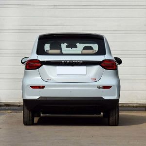 Leapmotor T03 The Best Mini EV Car with R15 Tire Size and Maximum Torque N.M 155