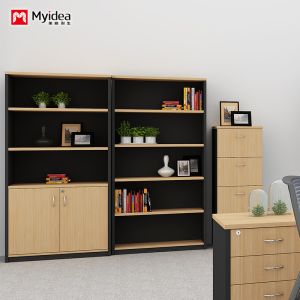 Wall Mounted Low Cabinet Large Capacity Filing Cabinet with Key Lock Double Door