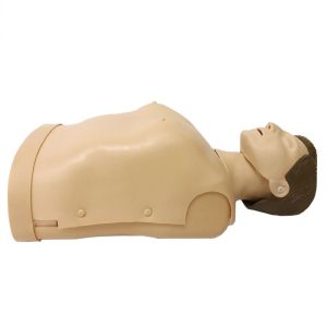 Cpr First Aid Manikins Medical Simulation Dummy Half Body