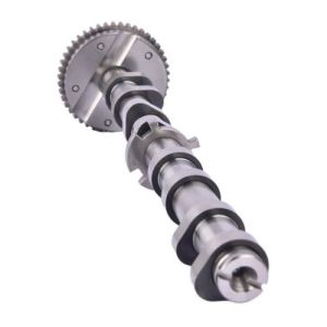 06H109021J Engine Parts Camshaft for AUDI A5, VW PASSAT, SEAT LEON (1P1)