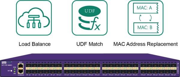 Load Balance Network TAP Network Security Services with UDF Match and Data