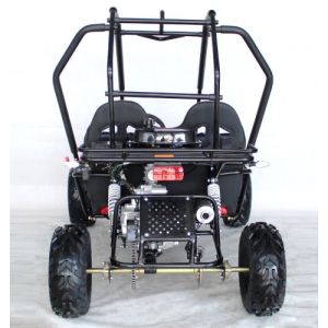 4 Stroke Riverbed Loading 200kg 125cc Go Kart Buggy