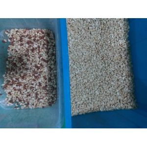 Newest Technology Nuts Color Sorter Peanut Color Separation Machine With Best