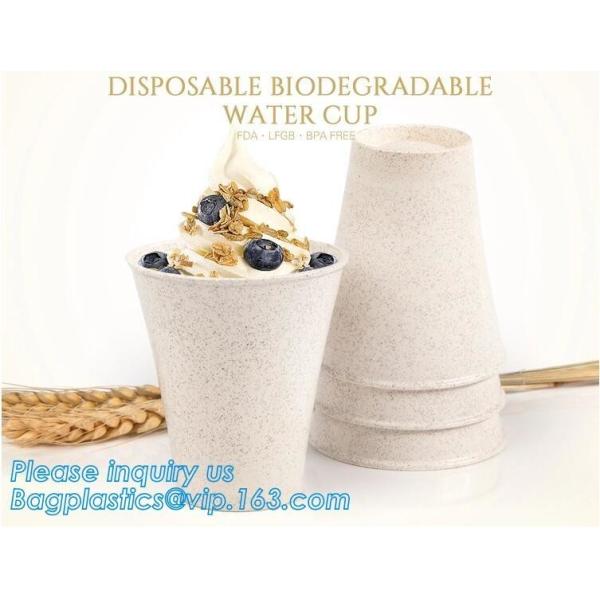Custom Disposable Clear Cold Drink Juice Cup 100% Ecofriendly Biodegradable