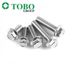 China Fastener Stainless Steel M4 M6 M8 M10 M12 DIN6921 Class 4.8.8.8 10.9 12.9 Hex Flange Head Bolt on sale