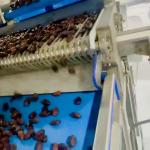 AI Powered Date Sorting Machine With Intelligent Data Statistics System High