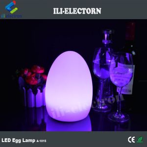 plastic egg lamp /illuminated table lamp /led lighted egg lamp