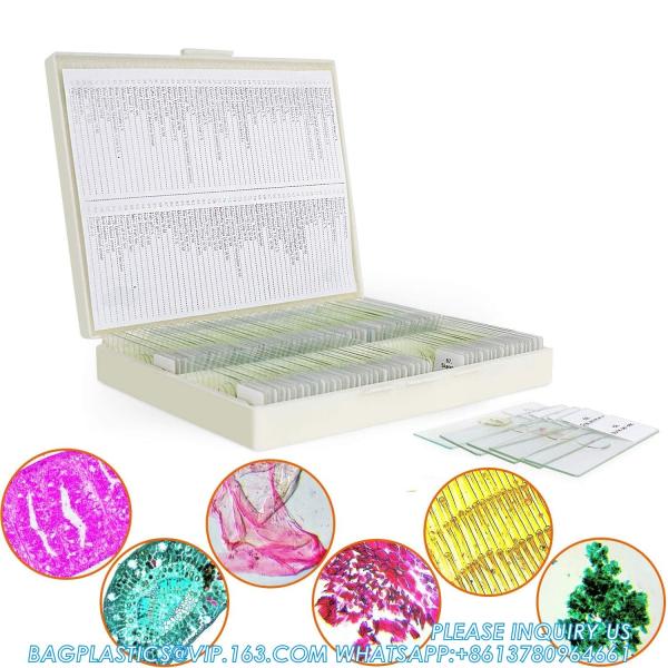 Quality Microscope Slides With Specimens For Kids, Prepared Microscope Slides Plants Animals Insects, Microscope Slides for sale