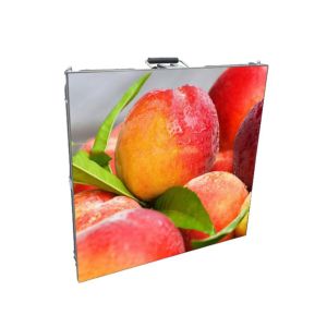 Indoor Small Pixel Pitch LED Display , P1.923 LED Video Screen TV Full Color