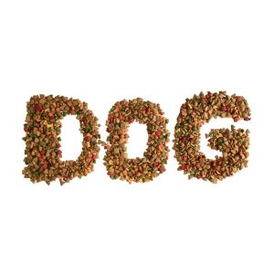 Fast Innovative Pet Food Manufacturing Equipment Automatic