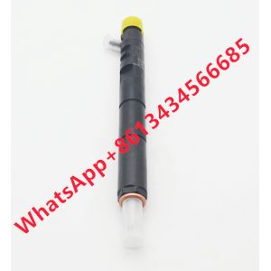 Wholesale Ejbr04101d Fuel Injector Ejbr02101z 8200049876 166003978r Common Rail from china suppliers