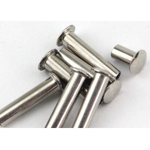 M7 M10 M8 Stainless steel Flat head solid rivet SUS304 SUS316 A2-70 Plain