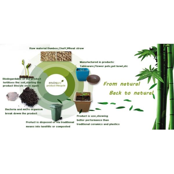 Eco Bamboo Fiber Infant Plate