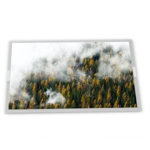 M240HW01 V.8 Modules 24.0-Inch WLED High Resolution TFT LCD Display Module 1920