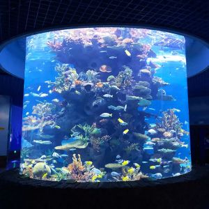 China Aquarium Project Construction Large Fish tank Custom Manufacturers Aquarium Super Large Acrylic Fish tank Customized on sale