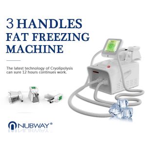 2018 New arrival provide ODM/OEM cryo / cryolipolysis slim machine for salon use