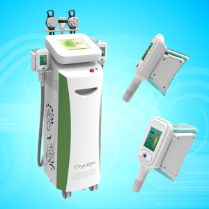 Wholesale 5 Handles Cryolipolysis Machine / Fat Freezing Machine / Cryolipolysis Slimming Machine from china suppliers