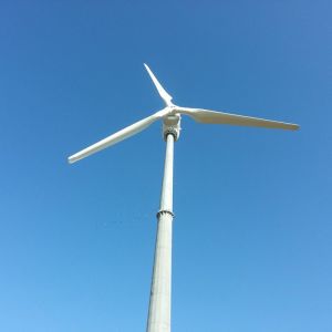 Buy cheap 380V 50KW Wind Turbine Generator System Home Wind Turbine Generator from wholesalers
