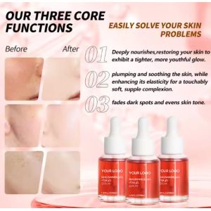 Private Label Niacinamide 10 and Txa 4 Serum Dark Spot Aha Organic Moisturizing